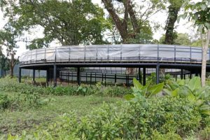 TAMAN-BALEKAMBANG-9-1024x768